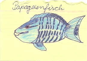 Zeichnung Papageienfisch - Erkennungszeichen Mannschaftswettbewerb 20.06.2013, Zeichnung