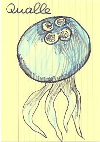 Zeichnung Qualle