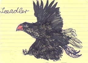 Zeichnung Seeadler - Erkennungszeichen Mannschaftswettbewerb 20.06.2013, Zeichnung